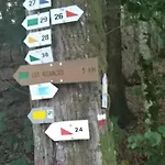 Chez Dikke Vriend, Et Taverne