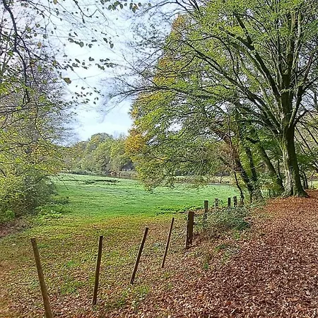 Chez Dikke Vriend, Et Taverne Мини-отель Шини