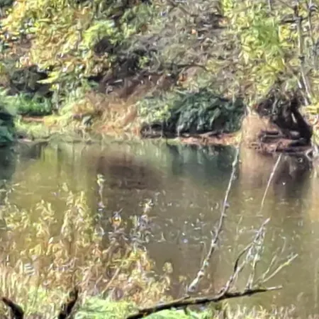 Мини-отель Chez Dikke Vriend, Et Taverne