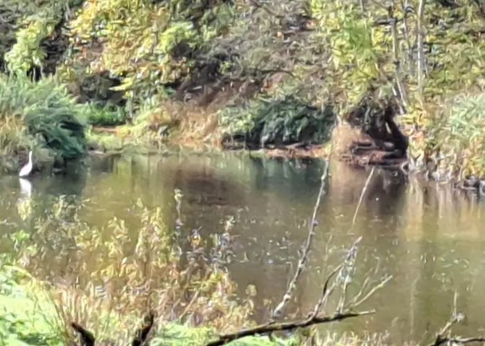 Πανδοχείο Chez Dikke Vriend, Et Taverne